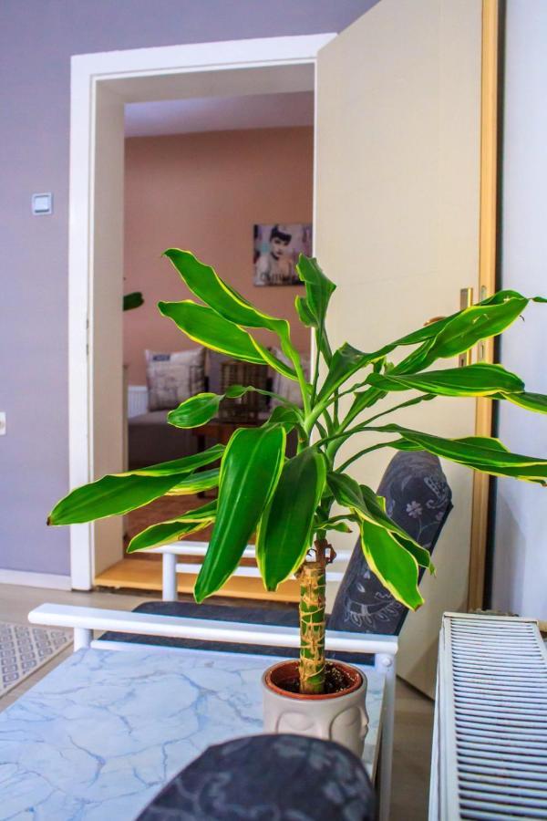 Bb Downtown Apartment Bajina Basta Zewnętrze zdjęcie