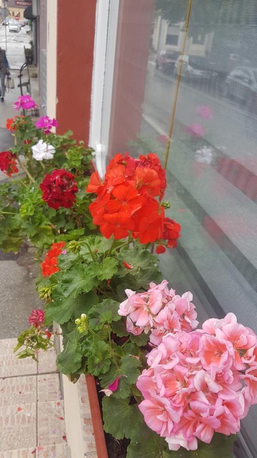 Bb Downtown Apartment Bajina Basta Zewnętrze zdjęcie
